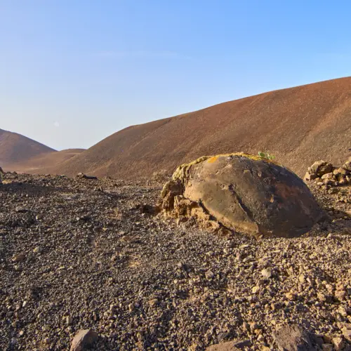 iStock-882430358bayuyo trail_result